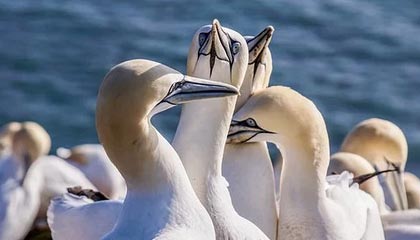 旺财28中国官网-开云官方网站：在云端拥抱美好生活的入口